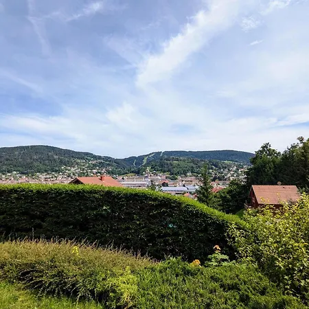 Cosy Avec Parking Et Terrasse A - Fr-1-589-653 Gerardmer